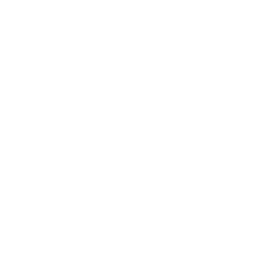 公共